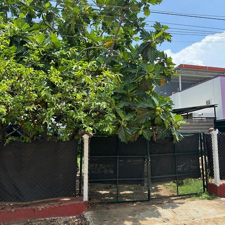 The Lazy Palm Shack Hotel Coimbatore Eksteriør billede